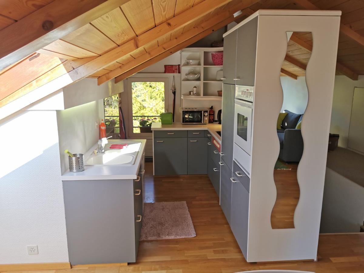 Ula'S Holiday Apartments Беатенберг Екстериор снимка